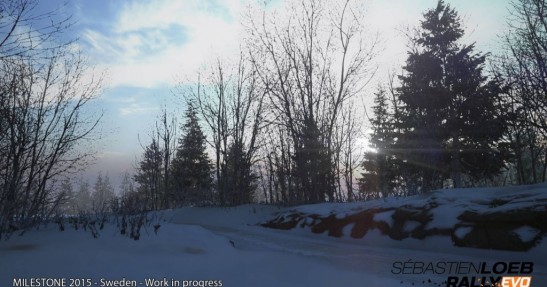 Sebastien Loeb Rally Evo