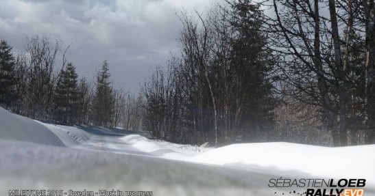 Sebastien Loeb Rally Evo