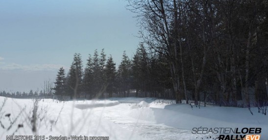 Sebastien Loeb Rally Evo