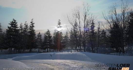 Sebastien Loeb Rally Evo