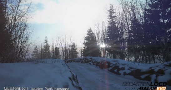 Sebastien Loeb Rally Evo