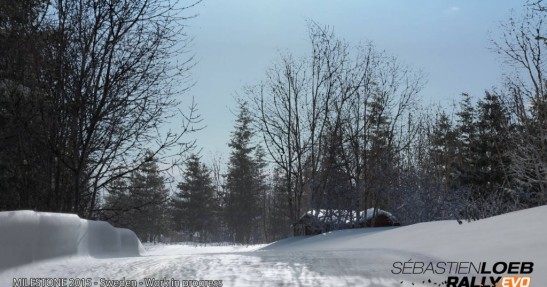 Sebastien Loeb Rally Evo