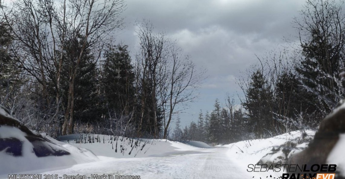 Sebastien Loeb Rally Evo