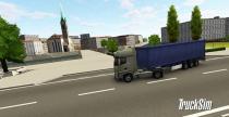 TruckSim