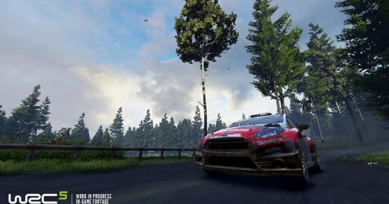 WRC 5
