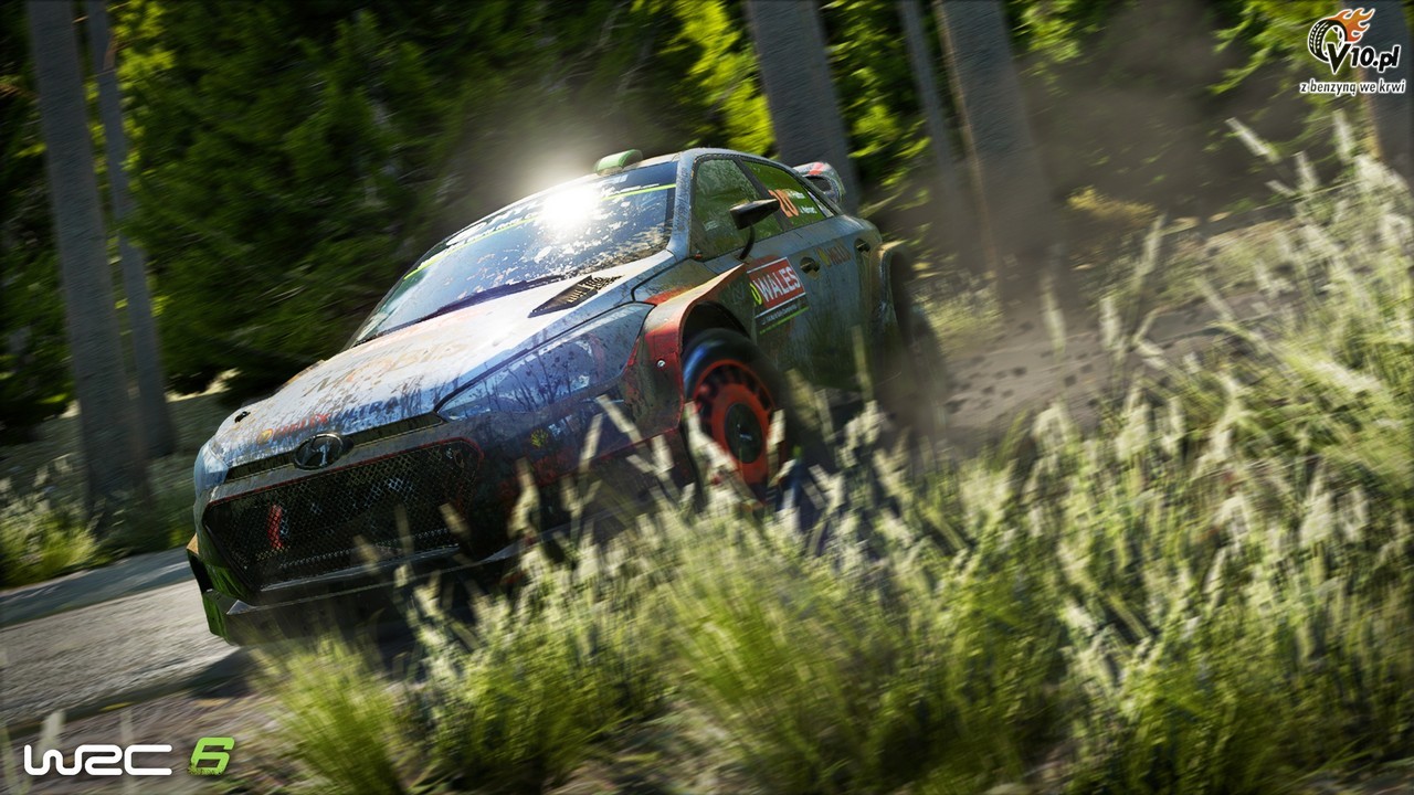 WRC 6