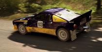 Dirt Rally