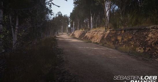 Sebastien Loeb Rally Evo