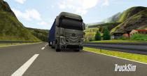 TruckSim