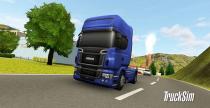 TruckSim