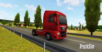 TruckSim