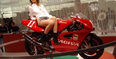 EICMA 2009 i dziewczyny