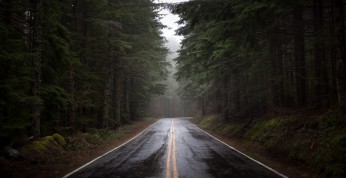 Kawasaki i nietypowa przeszkoda na autostradzie. Zobacz nagranie z...