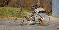 1906 Indian Camelback