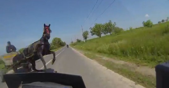 Motocyklistka kontra koń