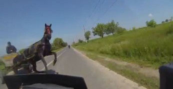 Video: Motocyklistka kontra koń pociągowy - było naprawdę...