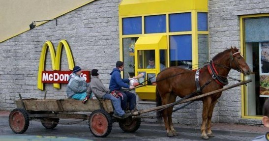 Koniem też można...