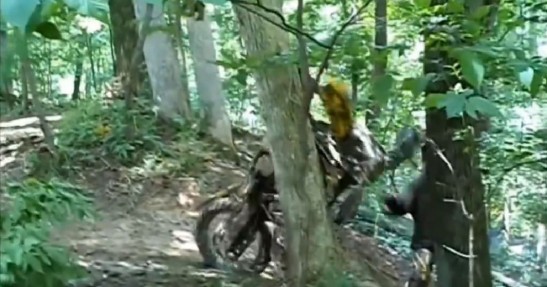 Czym skorupka za młodu nasiąknie, tym na starość trąci