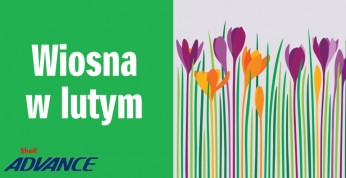 Promocja w salonach Suzuki - wiosna zaczyna się już w lutym