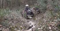 Swincar Spider