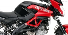 2010 Aprilia Shiver 750