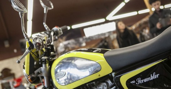 Borile 450 Scrambler