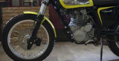 Borile 450 Scrambler