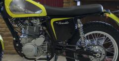 Borile 450 Scrambler