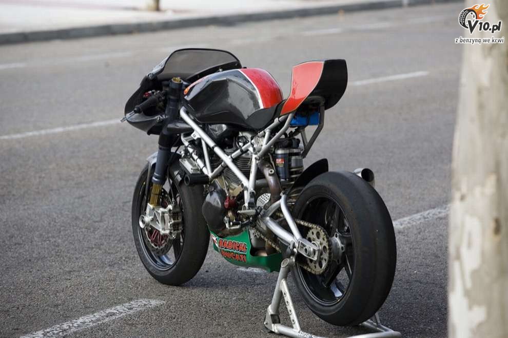 Pata Negra by Radical Ducati