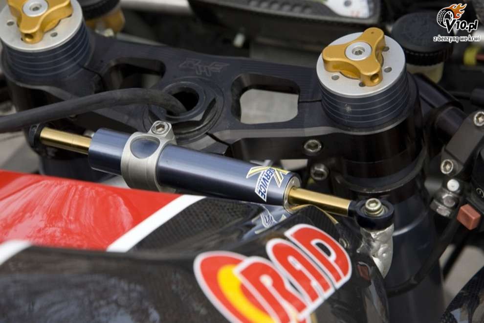 Pata Negra by Radical Ducati