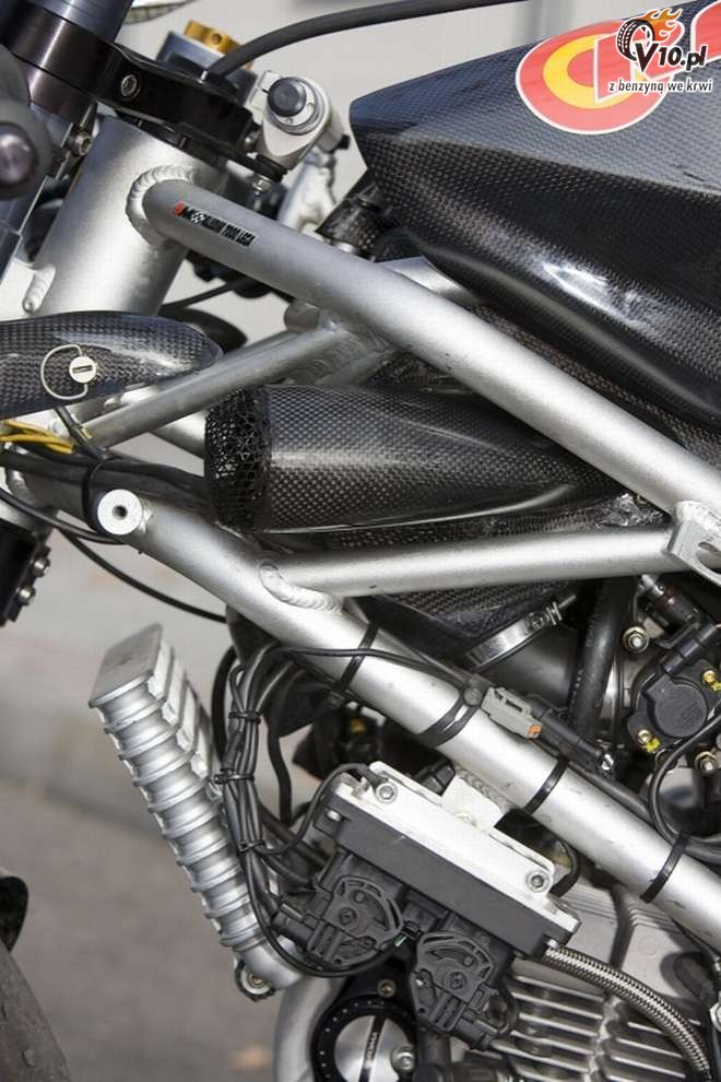 Pata Negra by Radical Ducati