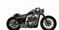 Harley-Davidson Stellalpina by Roberto Rossi