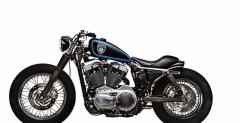 Harley-Davidson Stellalpina by Roberto Rossi