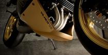 Triumph Bulldog by Vilner