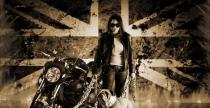 Triumph Bulldog by Vilner