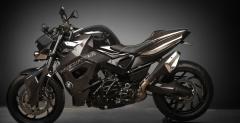 Vilner Custom Bike Predator