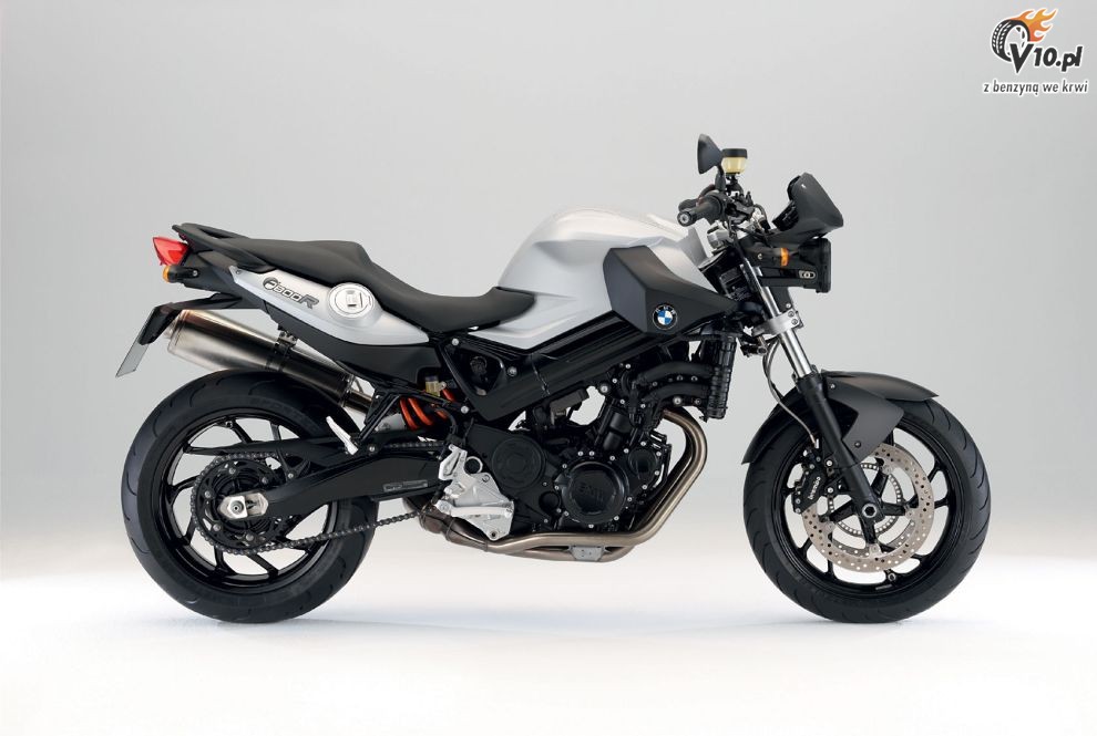 Vilner Custom Bike Predator