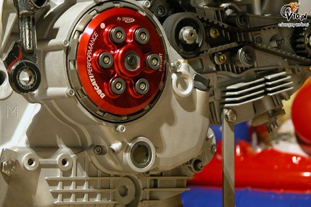 Ducati Multistrada Biuta by Carlo Roscio