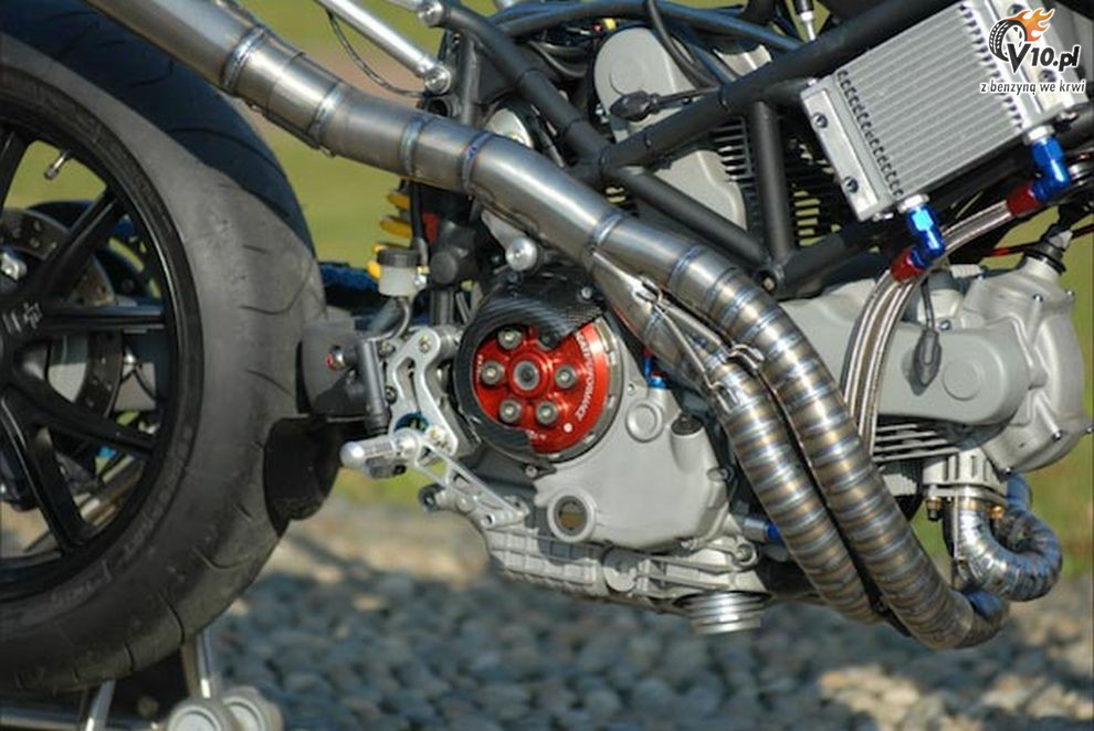 Ducati Multistrada Biuta by Carlo Roscio