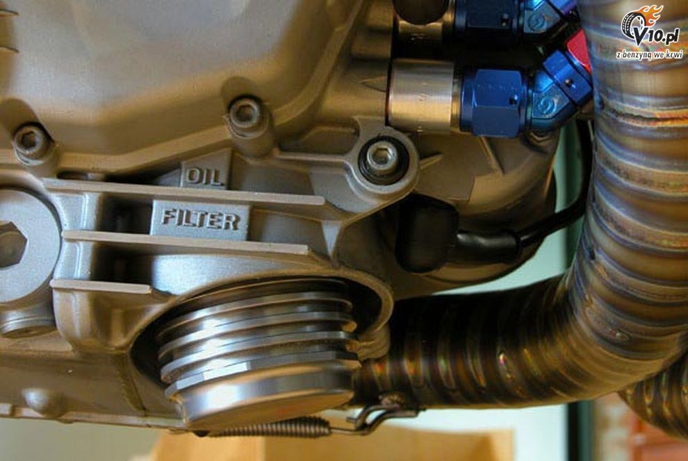 Ducati Multistrada Biuta by Carlo Roscio