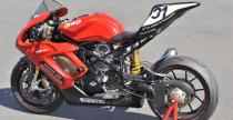 Radical Ducati - portfolio