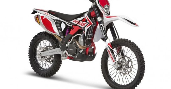 Gas Gas - modele na 2015 rok