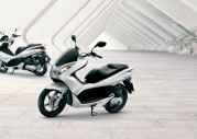 Honda PCX 125 - Stop and Go