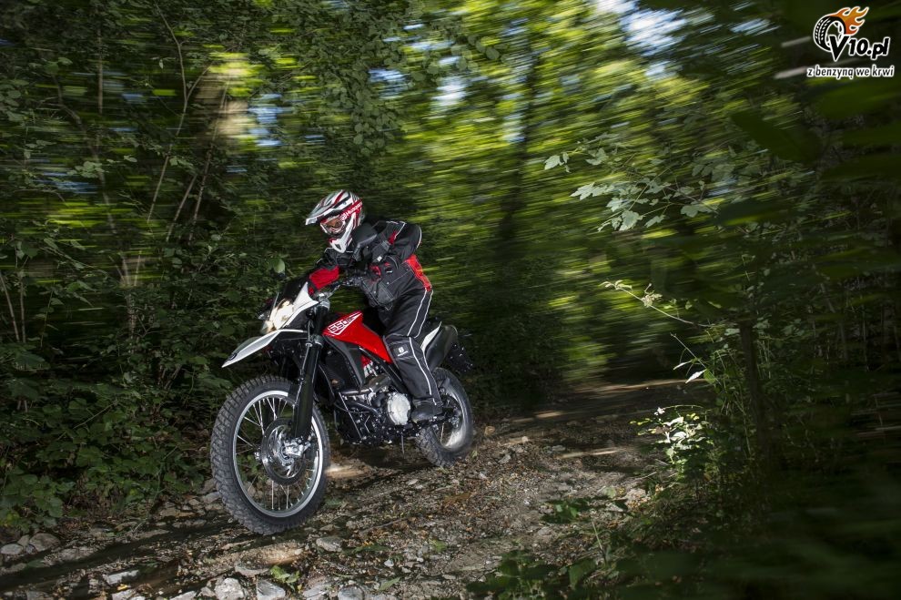 Husqvarna TR 650 Terra