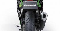 Kawasaki Ninja 300 na 2013 rok