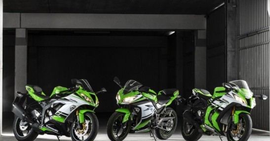 Kawasaki Ninja 300 30th Anniversary Edition