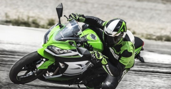 Kawasaki Ninja 300 30th Anniversary Edition