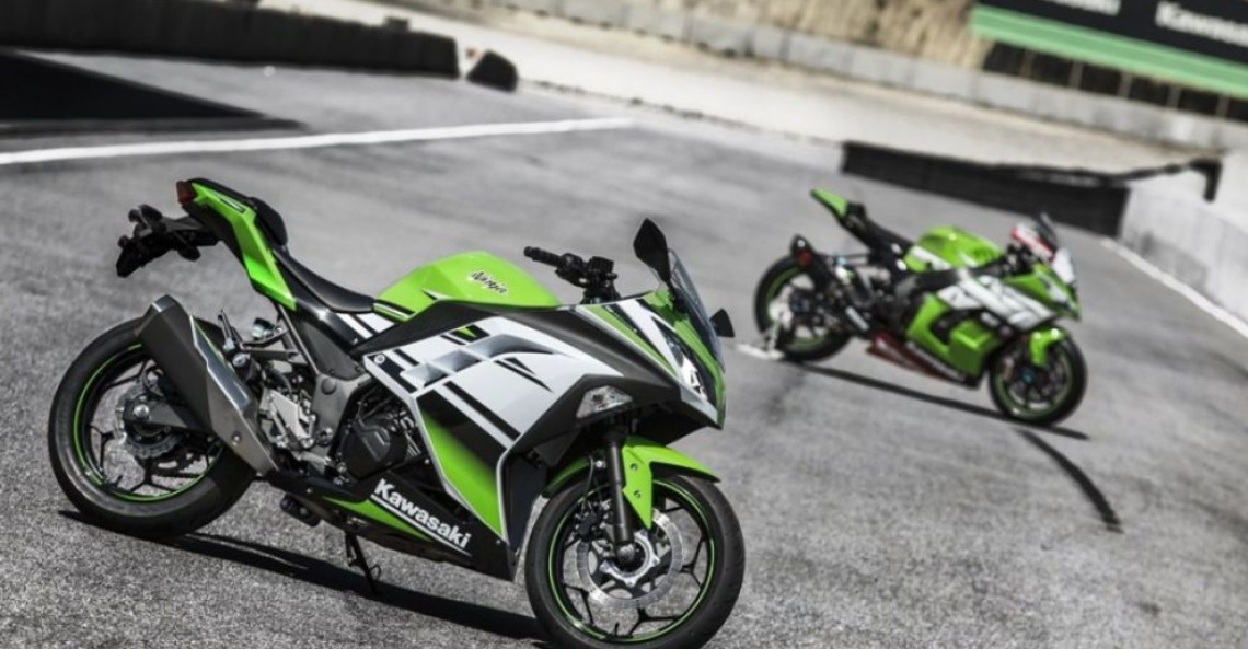 Kawasaki Ninja 300 30th Anniversary Edition