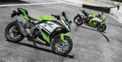 Kawasaki Ninja 300 30th Anniversary Edition