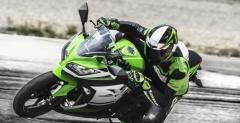 Kawasaki Ninja 300 30th Anniversary Edition